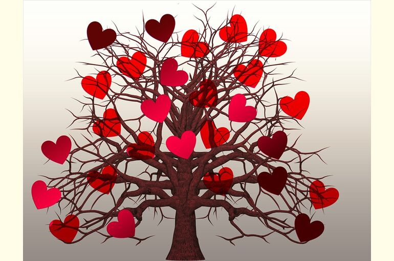 heart-1577791_960_720