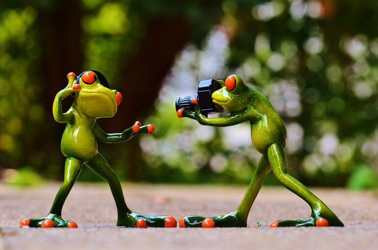 frogs-903167_960_720