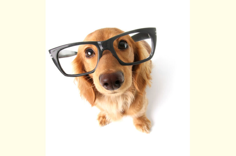 istockphoto-158894647-170667a