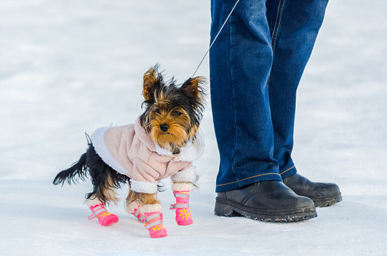 istockphoto-1167048300-170667a