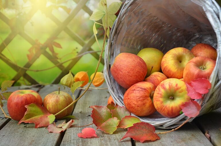 apples-1776744_960_720