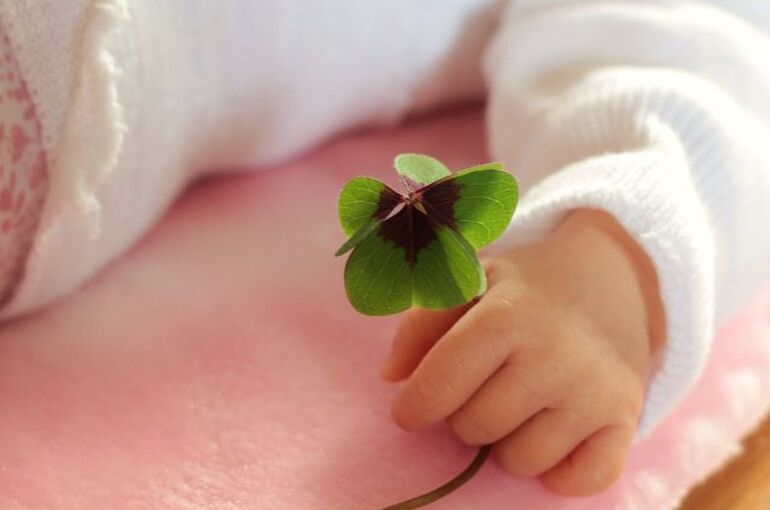 four-leaf-clover-1892660_960_720