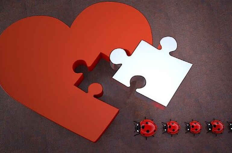 lucky-ladybug-1949337_960_720