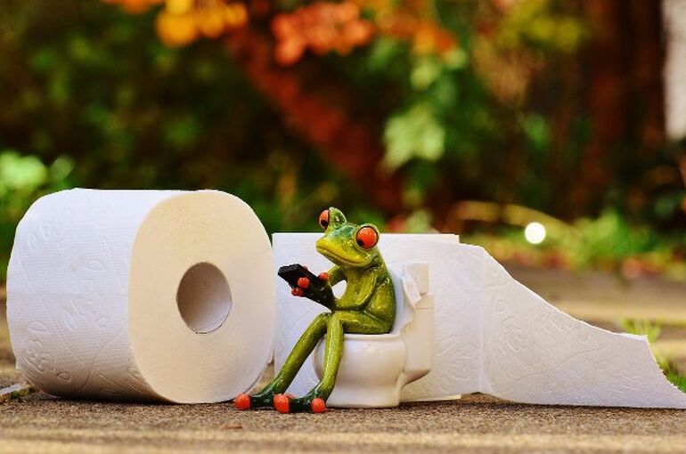 frog-1037252_1280