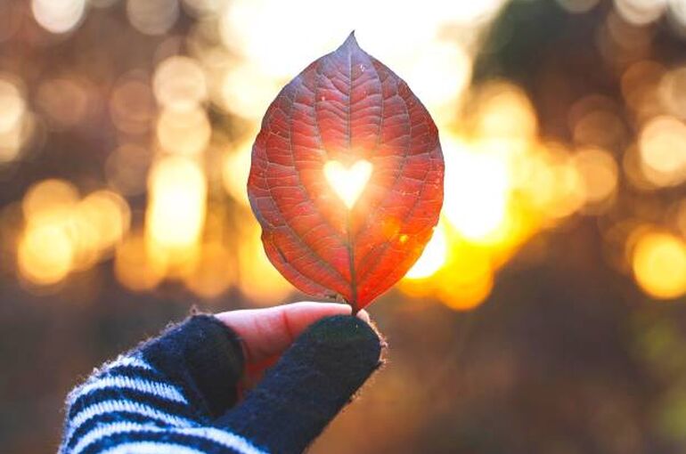 istockphoto-1446833041-612x612