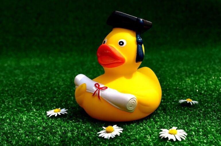 rubber-duck-2821371_1280