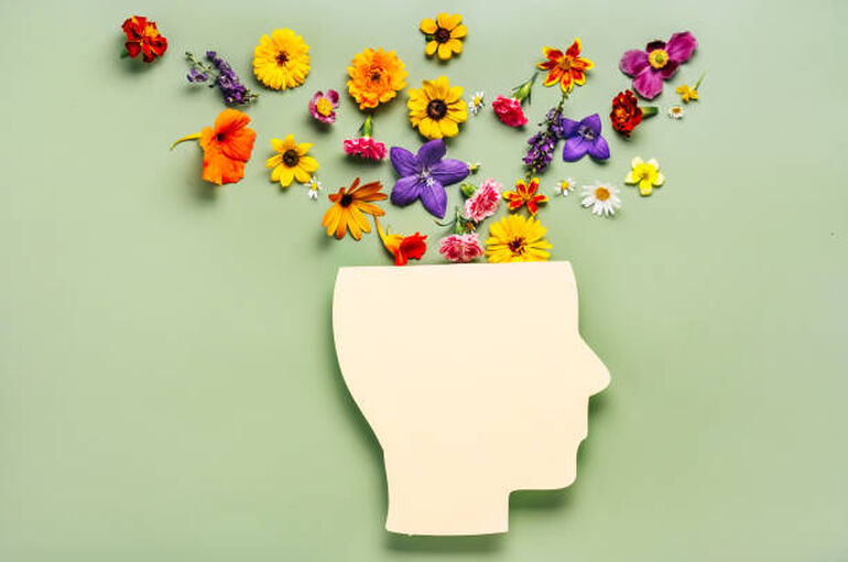 istockphoto-1428257531-612x612