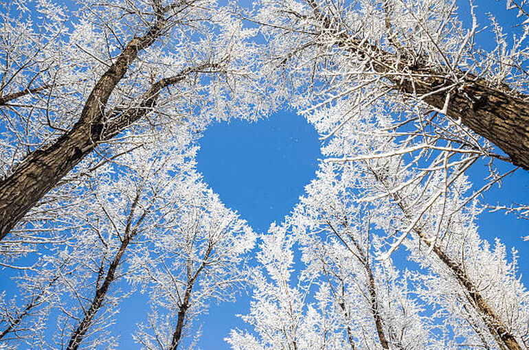 istockphoto-184195004-612x612