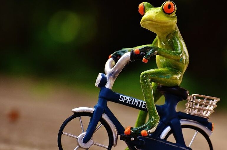 frog-1703578_1280