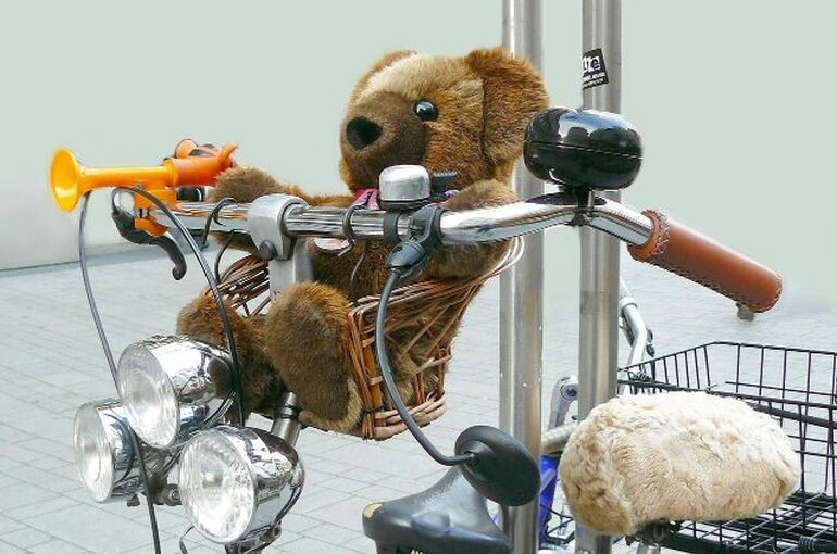 bear-276875_1280
