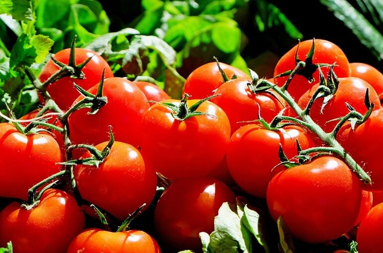 tomatoes-1280859_640