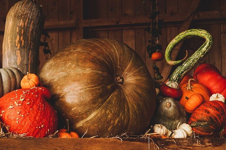 pumpkin-3698130_640