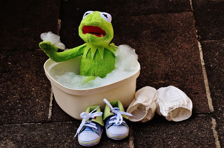 kermit-1745806_1280