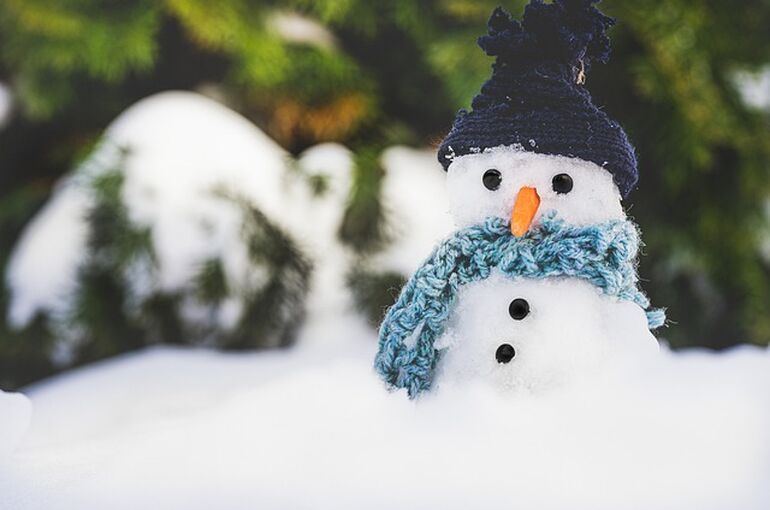 snow-6105996_640