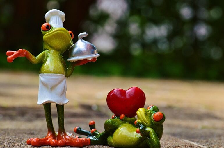 frog-927769_640