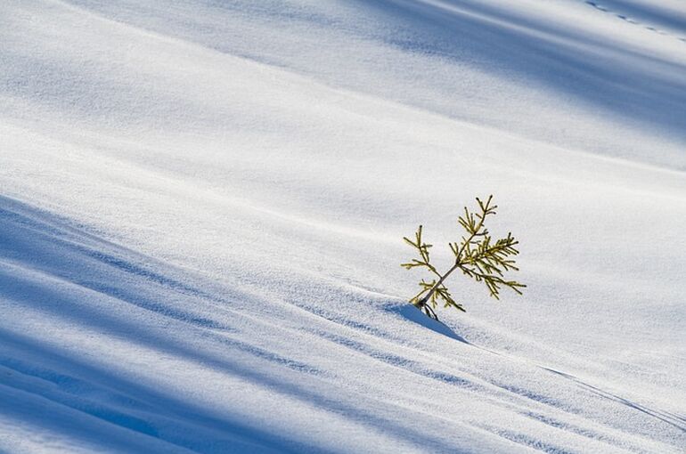 winter-6978923_640