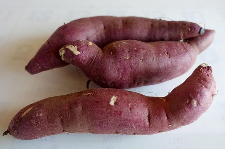 sweet-potato-1248078_640