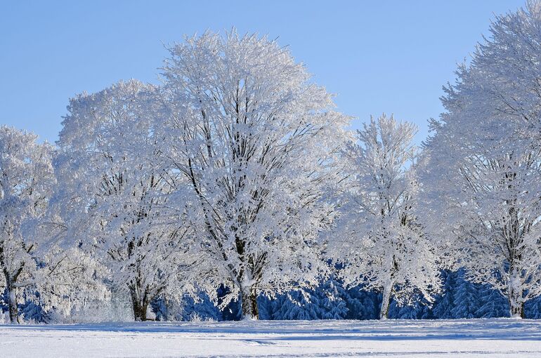 winter-9168141_1920