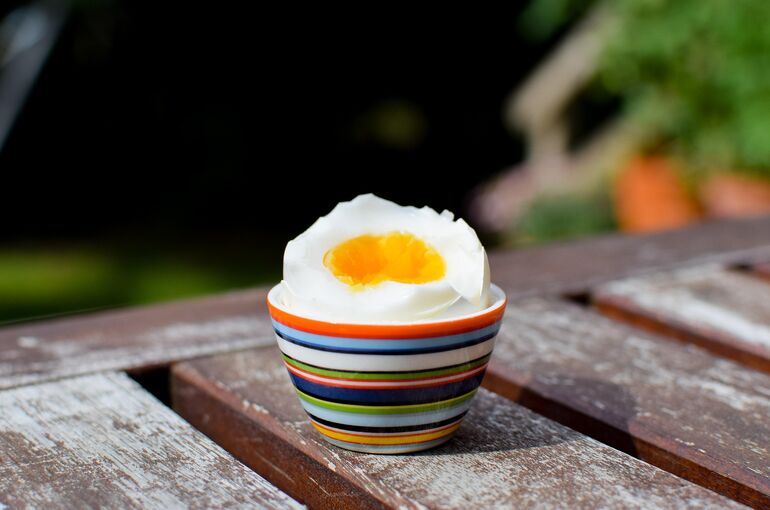 egg-2555963_1920