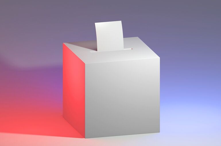 thor_deichmann-vote-5676563_1920