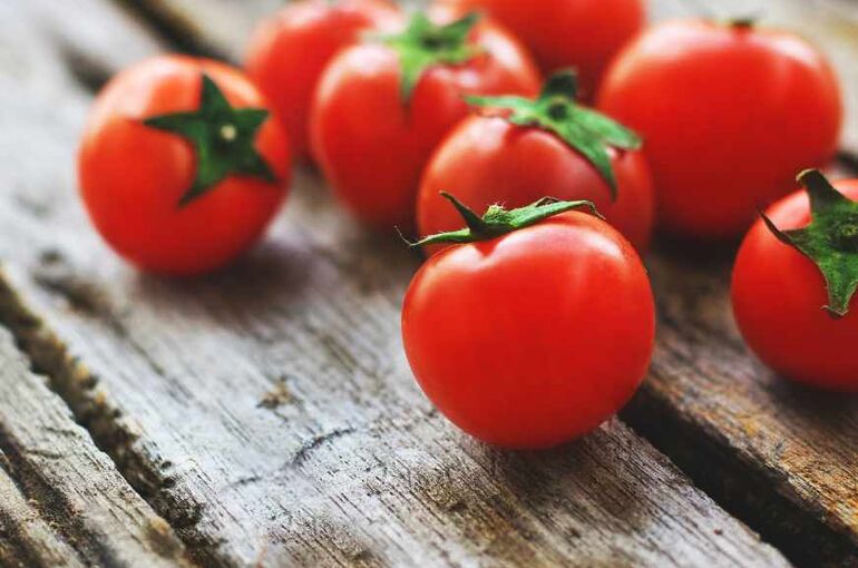 lernestorod-tomatoes-4238247_1920 (1)