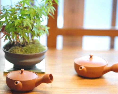 kawashimamsk-teapot-459349_1920