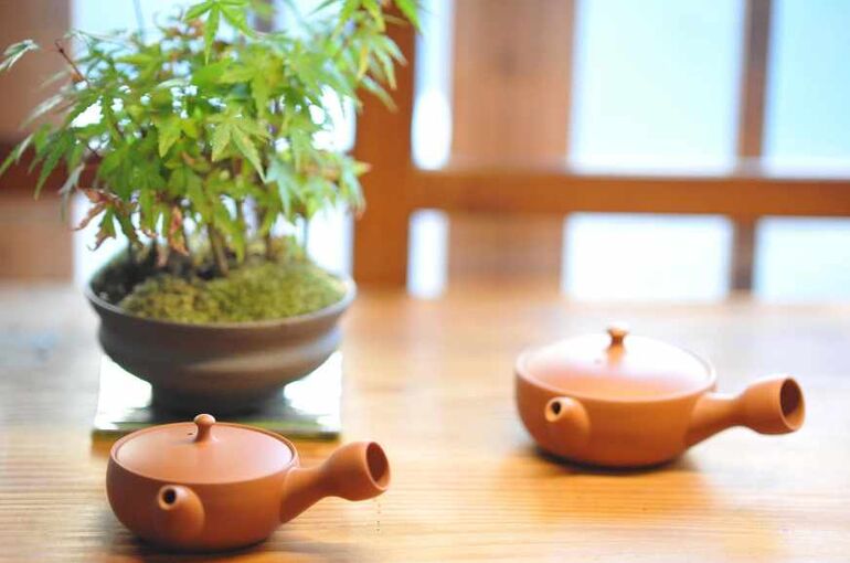 kawashimamsk-teapot-459349_1920