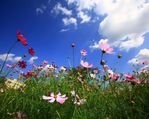 ksa61011-cosmos-2744329_1920
