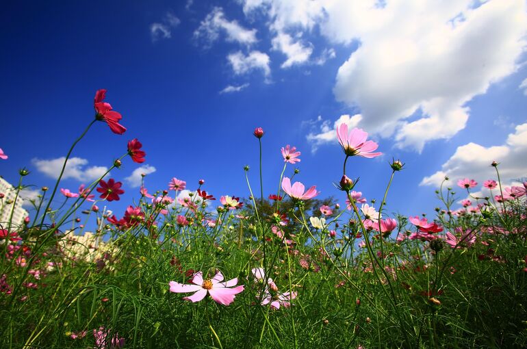 ksa61011-cosmos-2744329_1920