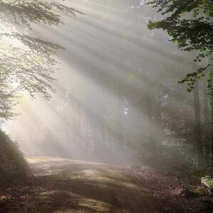 couleur-dirt-road-1789903_1920