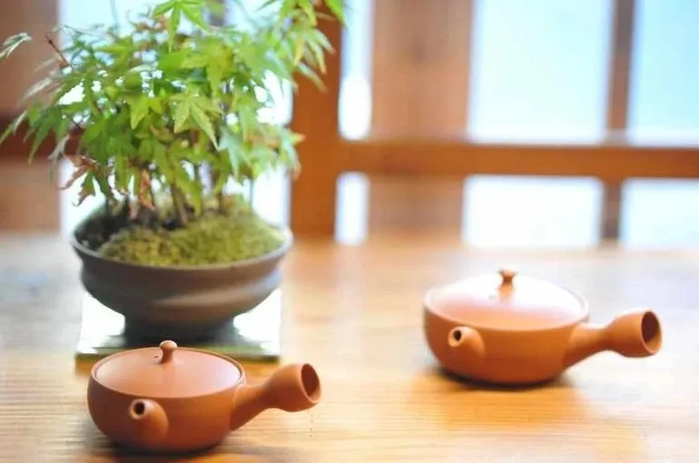 kawashimamsk-teapot-459349_1920