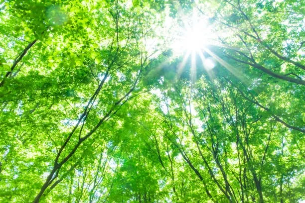心の中に詰まった様々な思いを整え新しい一歩をサポートします