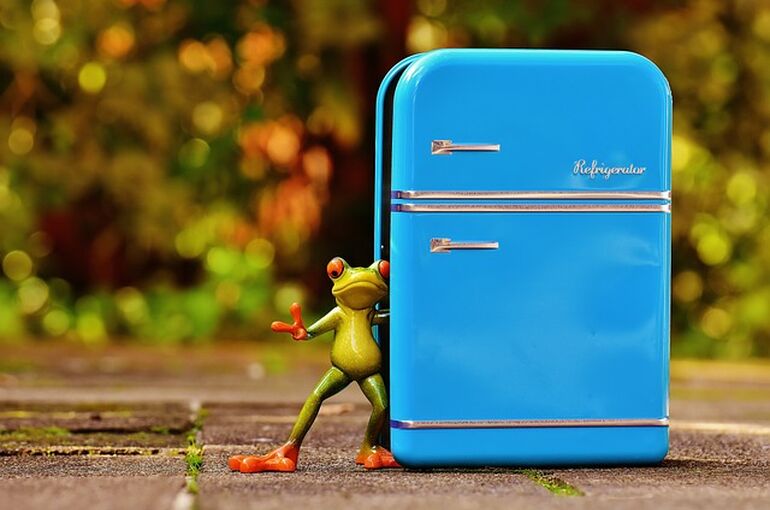 frog-1729802_640