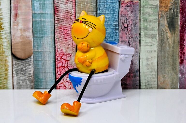 litter-box-3298240_640