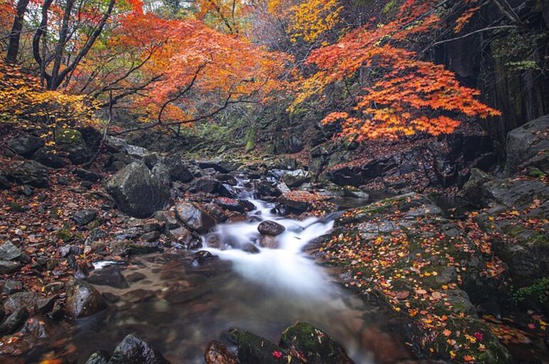 stream-5680609_640