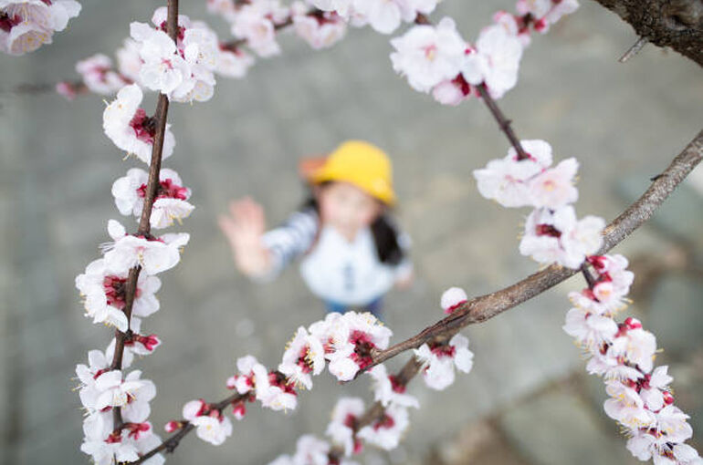 istockphoto-1473466092-612x612