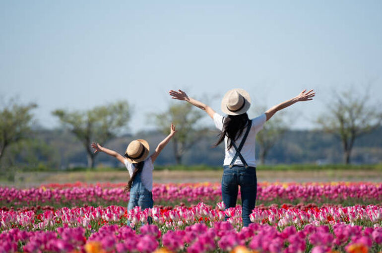 istockphoto-1143063729-612x612