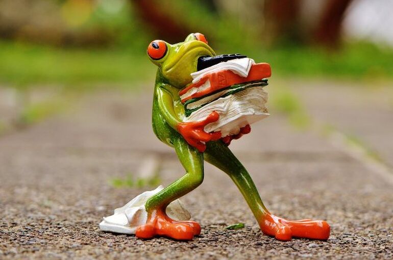 frog-1339916_1280