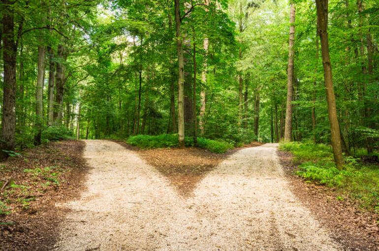 istockphoto-951702988-612x612