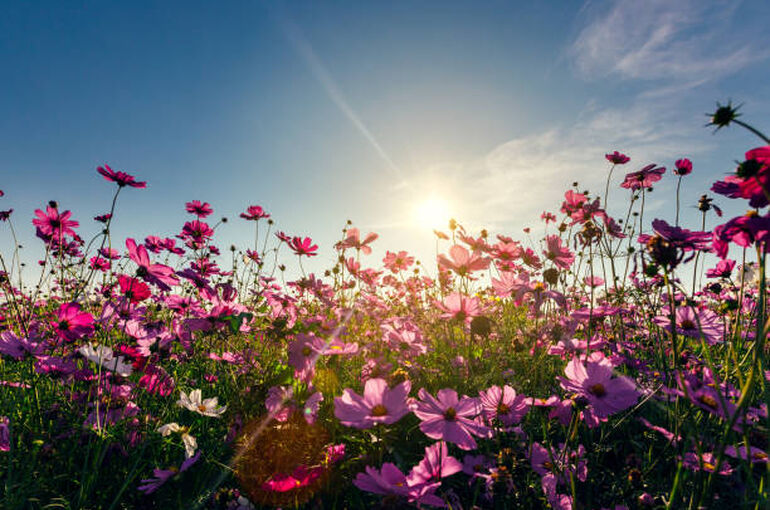 istockphoto-1159390970-612x612