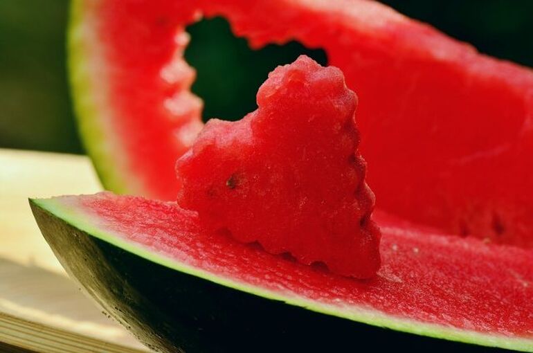 melon-1537176_1280