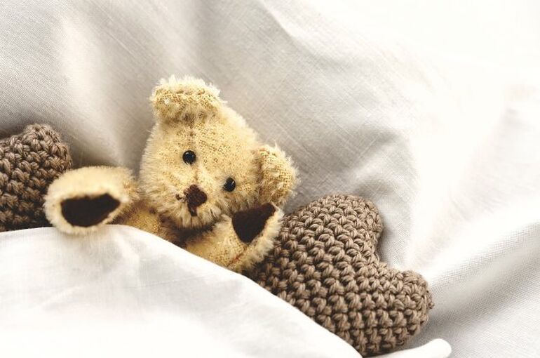 teddy-bear-7026407_1280
