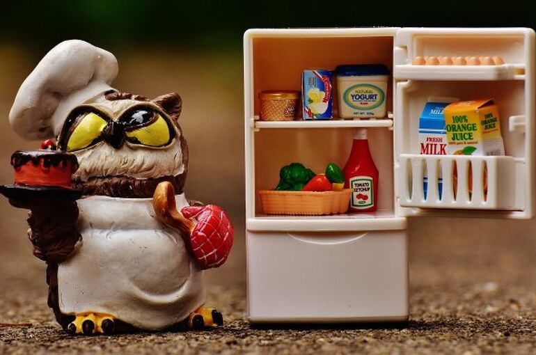 owl-1645310_1280