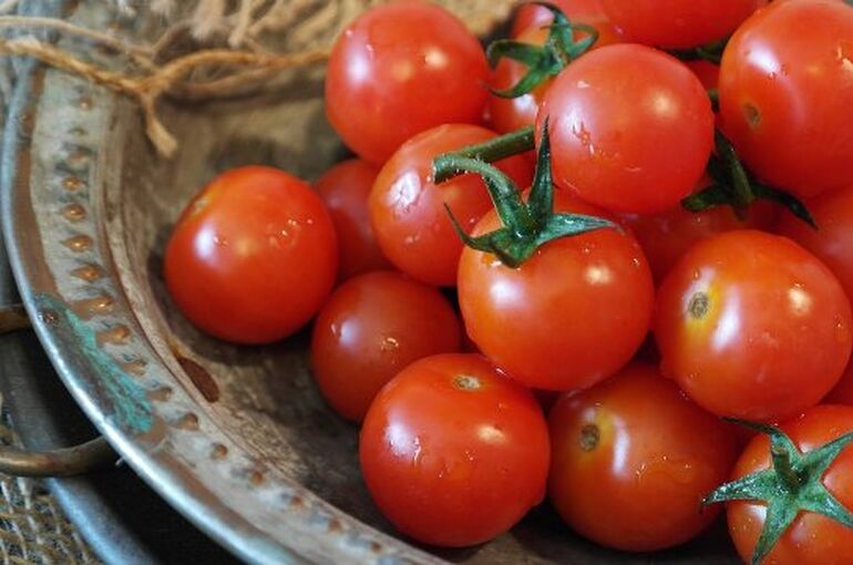 tomatoes-2559809_1280