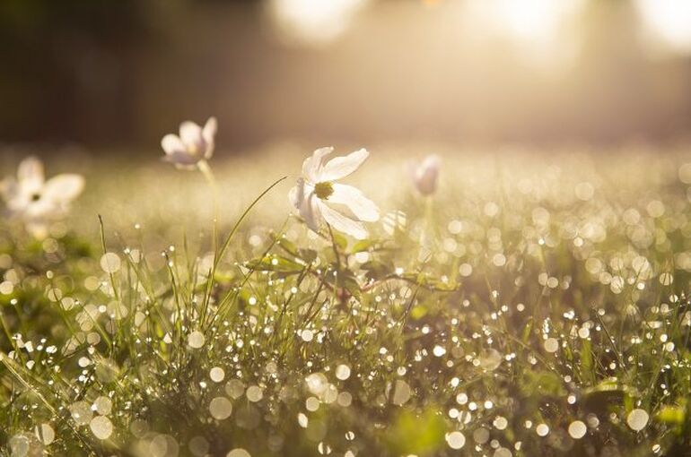 morning-4284120_960_720