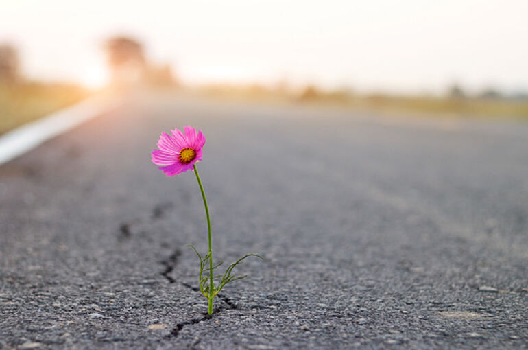 istockphoto-1206799011-170667a