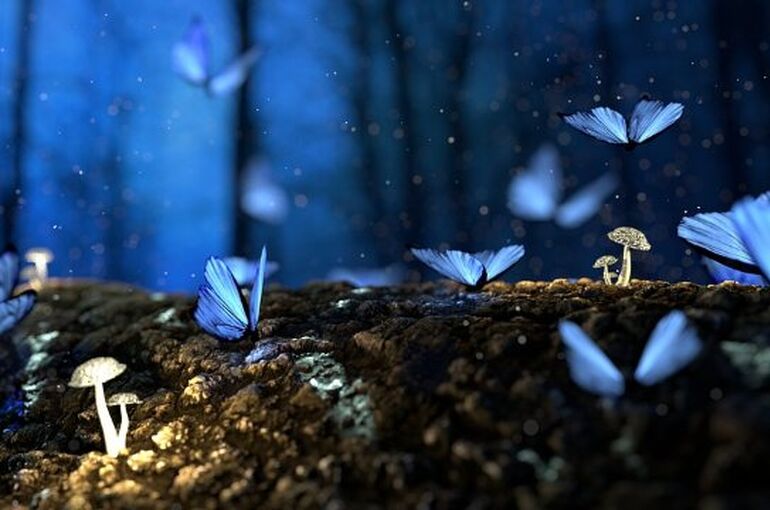 fantasy-2049567_960_720