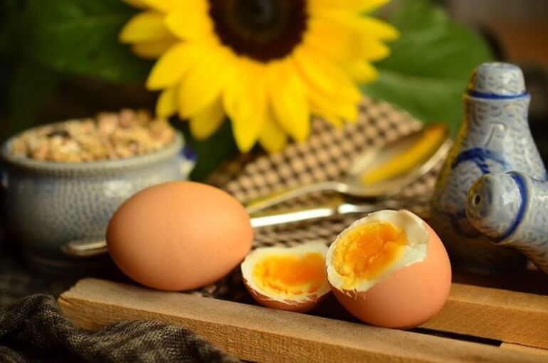 egg-869300_960_720