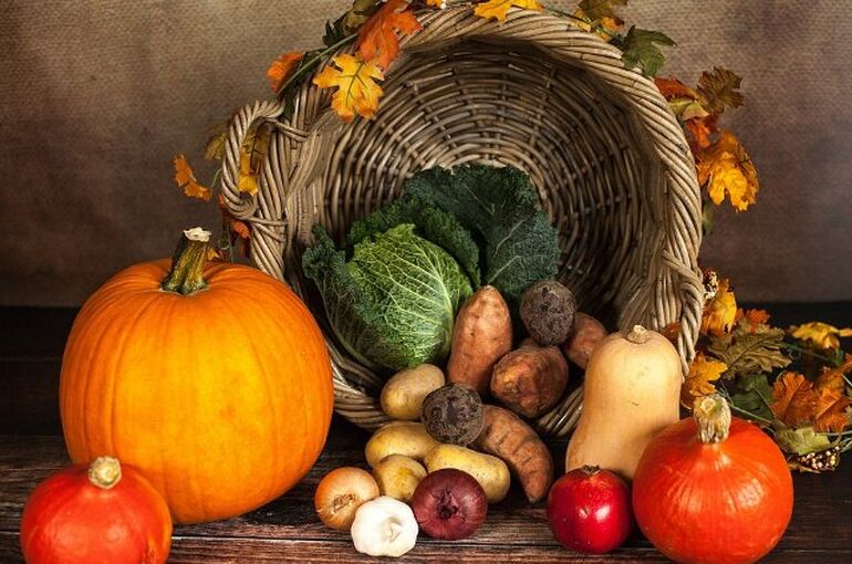pumpkin-1768857_960_720