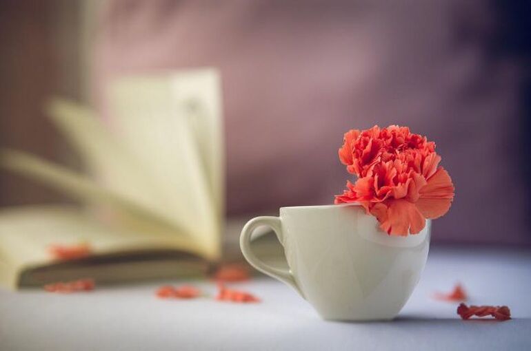 flower-4774929_960_720